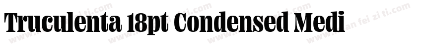 Truculenta 18pt Condensed Medium字体转换
